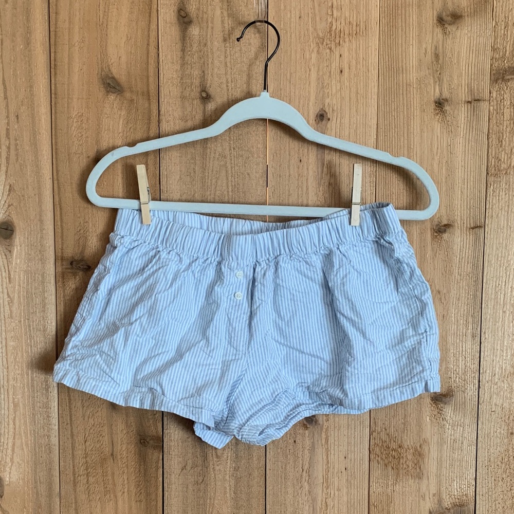 Brandy Melville Blue Striped Shorts